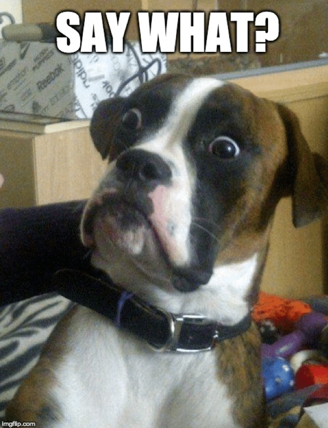 conference call humor facial expressions